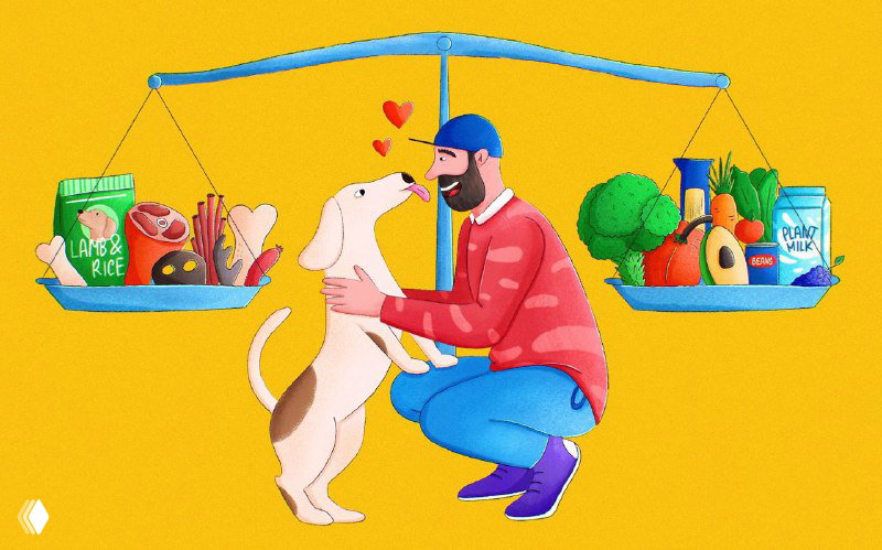 Иллюстрация с человеком и собакой: мужчина гладит собаку, рядом весы с продуктами по обе стороны — композиция на жёлтом фоне.