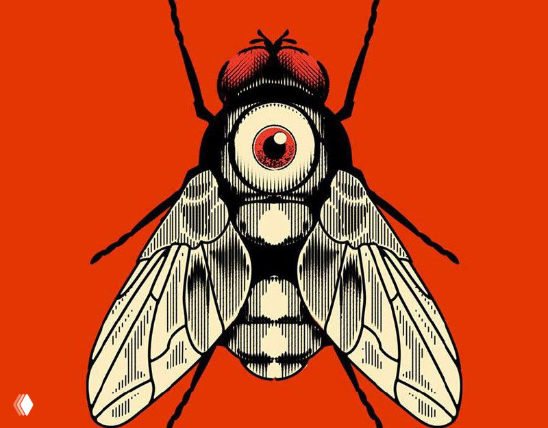 Иллюстрация Мануэля Цетина: крупный рисунок насекомого с одним большим глазом, монохромные штрихи на ярко-красном фоне, графичный стиль.