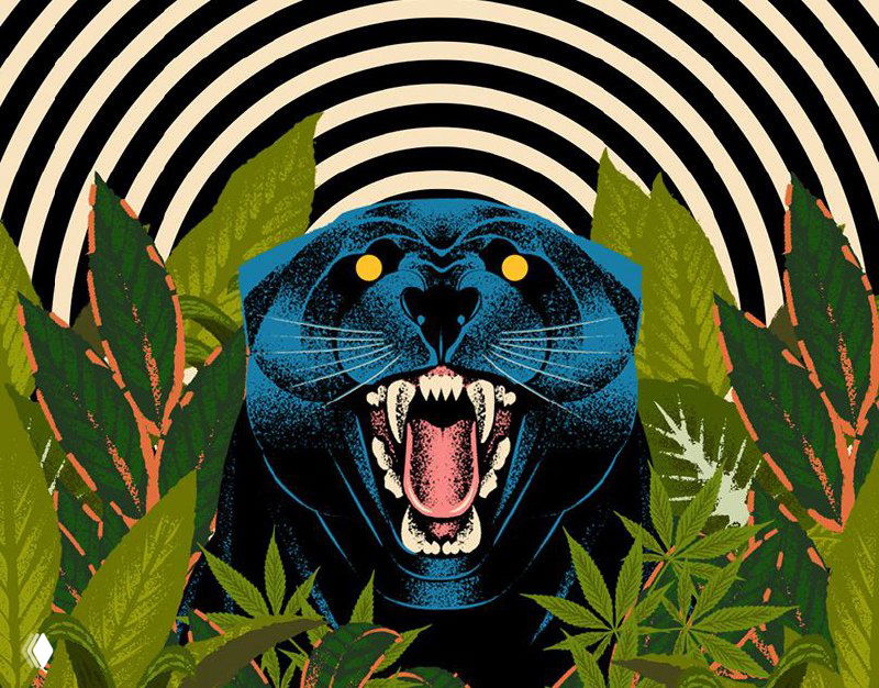 Иллюстрация Мануэля Цетина: изображение рычащей пантеры на фоне концентрических кругов и листвы, яркие контрасты и декоративные детали.