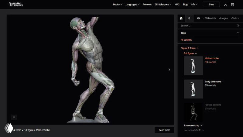 Anatomy for Sculptors — сайт по анатомии для художников