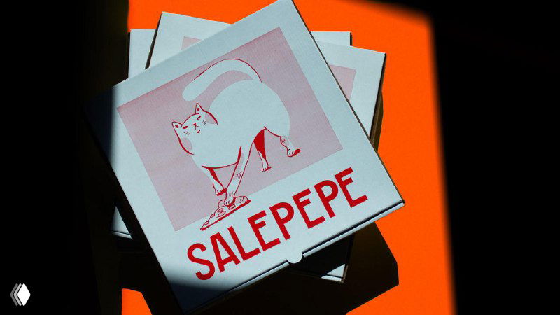 Несколько стопок коробок SALEPEPE с монохромной печатью кота; тени и яркий оранжевый фон подчёркивают графическую концепцию бренда.