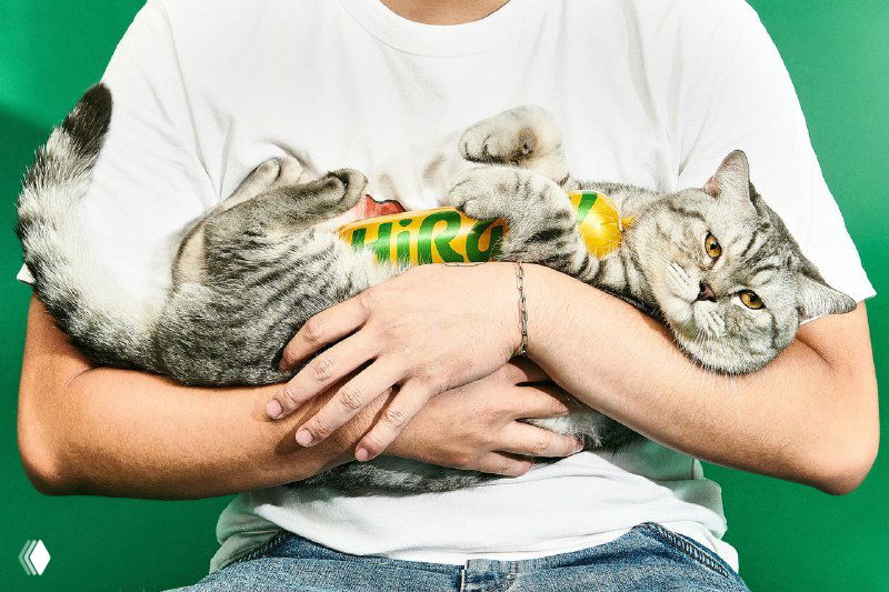 Человек держит кота в руках: на футболке видно оформление HiRaw, кот уютно прижимается к упаковке, иллюстрация живого взаимодействия бренда и питомца.