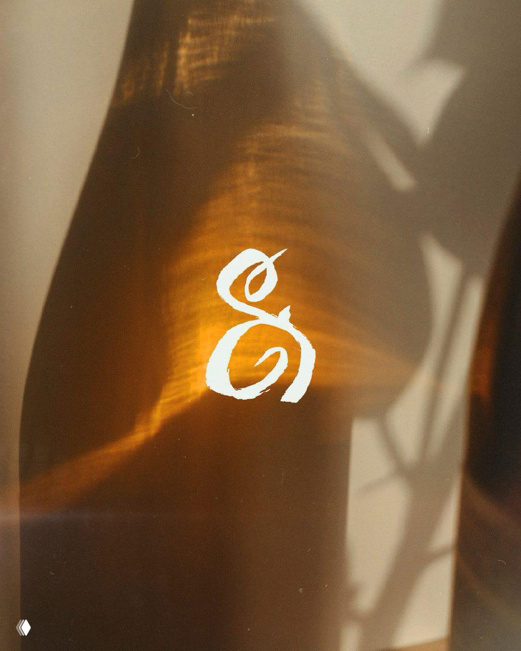 Отражение света на бутылке с выразительным рукописным символом амперсанда — художественный приём в визуальном ряду бренда Living Roots.