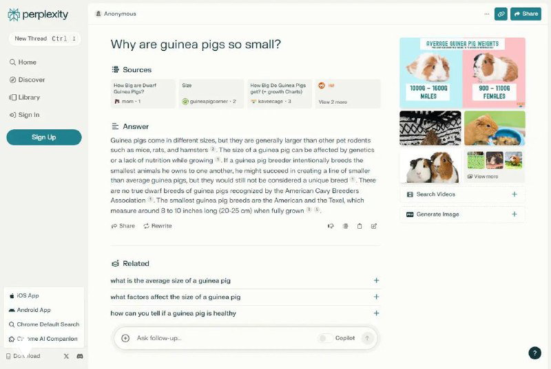 Perplexity — новая модель для поиска