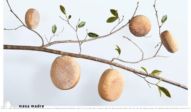 Упаковочная иллюстрация: ветка с круглыми булочками и листьями на пастельном фоне, создающая образ выпечки как природного плода.