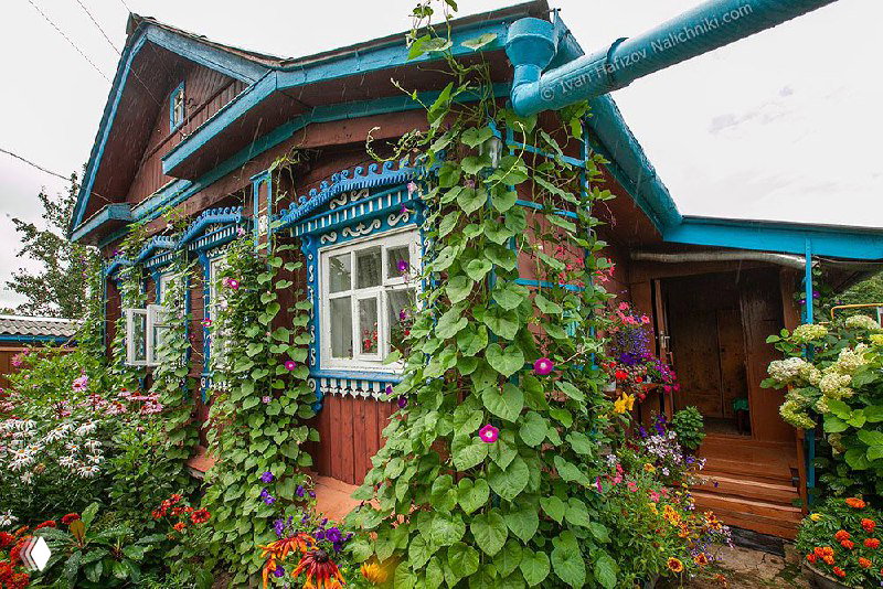 Украшенный лианами деревянный дом с ярко раскрашенными резными наличниками вокруг окон, садовые цветы у входа подчёркивают декор фасада.