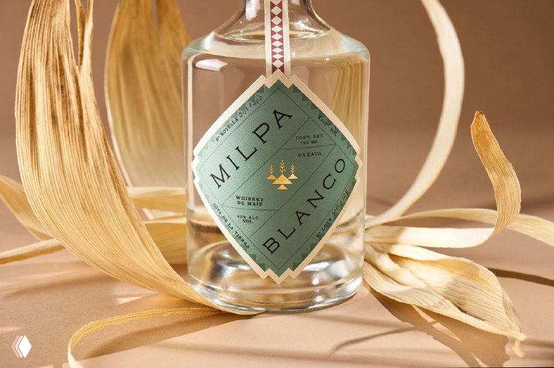 Крупный план бутылки Milpa Blanco с биркой мятного оттенка на фоне сухих кукурузных листьев; чёткая передача текстуры этикетки и стекла.