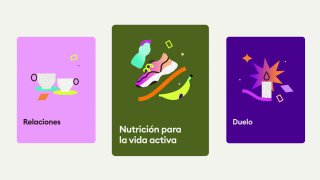 Карточки разделов айдентики Viva: яркие прямоугольные карты «Отношения», «Питание», «Горе» с иконками и минималистичными иллюстрациями, выдержанный визуальный язык бренда.