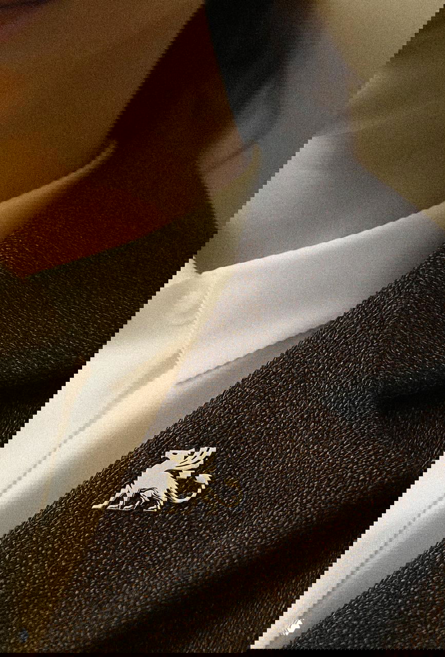 Значок‑грифон закреплённый на лацкане пиджака — показ применения фирменного знака как значка или аксессуара корпоративной одежды.