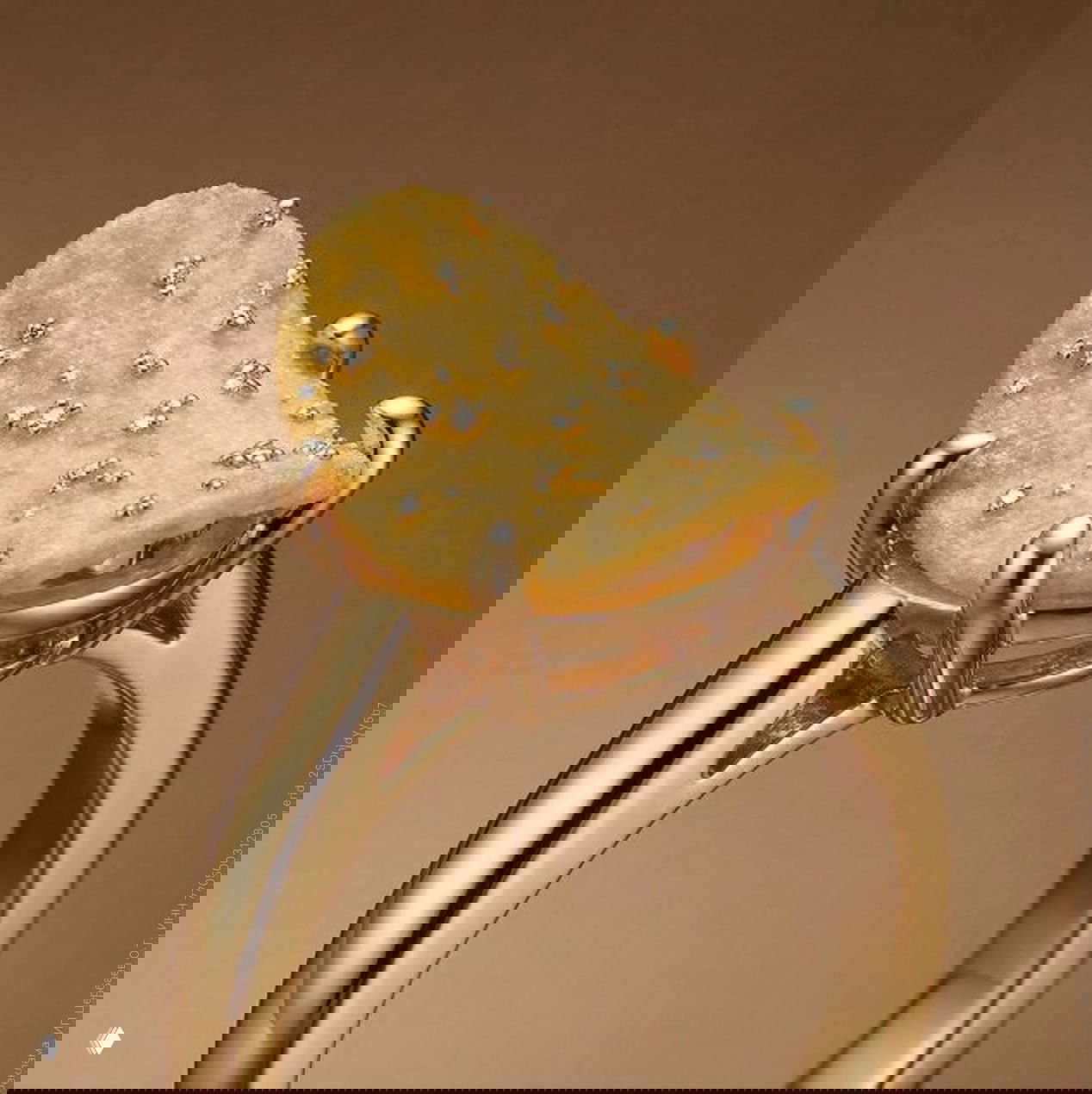 Авторство в эпоху AI — мастер-класс 5 марта