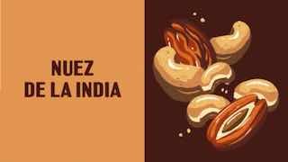 Иллюстрация ореха и подпись «Nuez de la India» в тёплых тонах: зернистая кистевая текстура имитирует ручной рисунок упаковочной графики Deit.