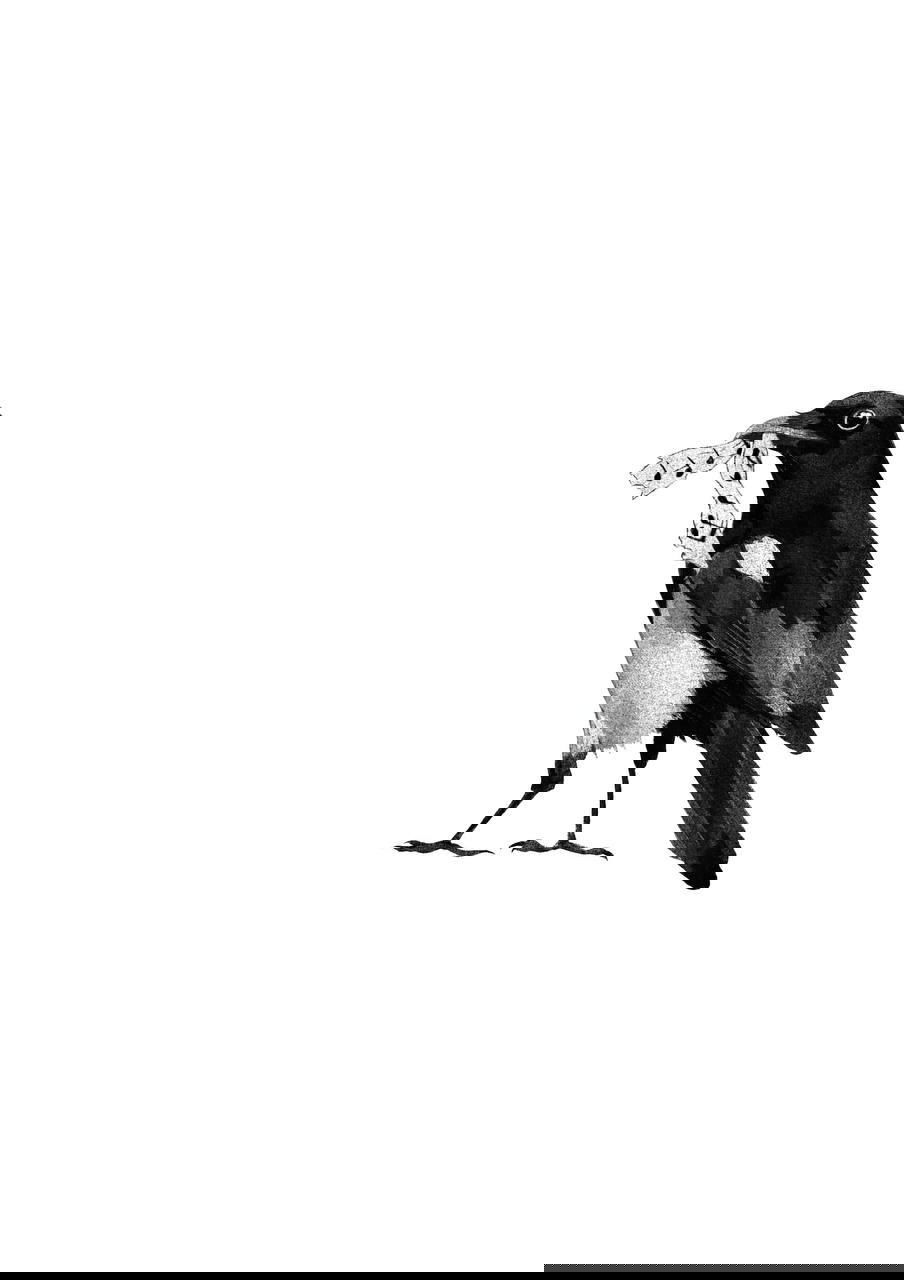 Тонкая графичная зарисовка птицы с бумажным свёртком в клюве, чёрно‑белая штриховка и минимализм фона, фольклорный характер эскиза