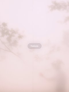 Размытый розово-бежевый экран сайта с мягкими тенями и силуэтами ветвей — атмосфера эфемерности и рассеянного света в интерфейсе.