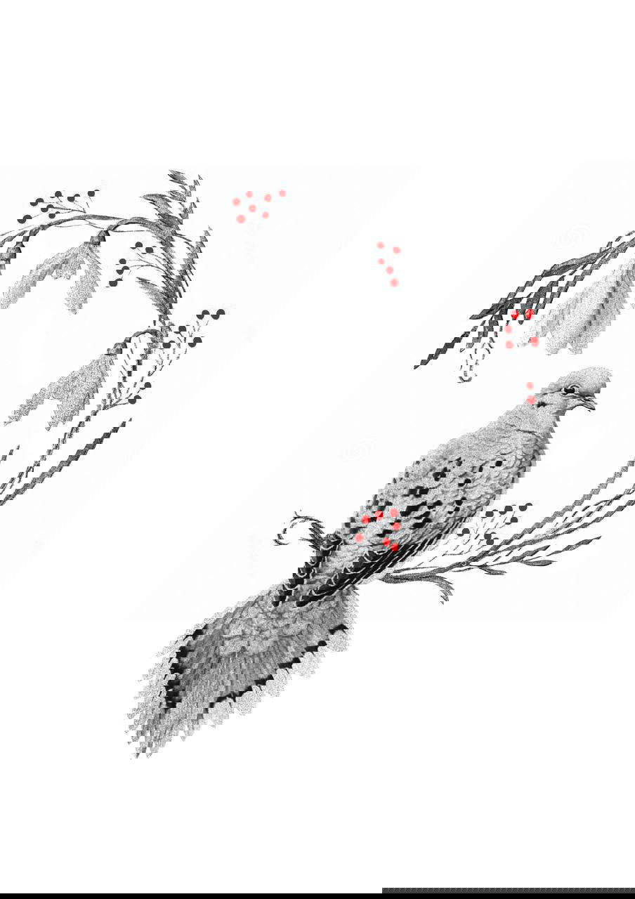 Иллюстрация птицы в цветочной венковой композиции: аккуратная штриховка горлицы и ветвей с красными ягодами, декоративный эскиз на белом фоне