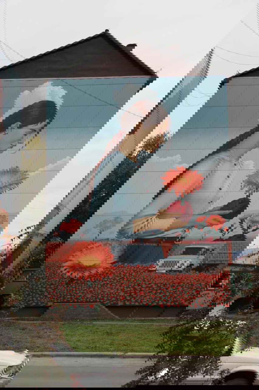 Мурал с девушкой, стоящей в профиль с распущенной косой, она держит клубок с цветком ястребинки на фоне облачного неба и цветущего поля.