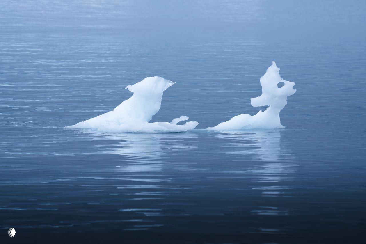 Небольшие причудливые формы льда на спокойной воде, серо‑синие тона и мягкие отражения в зеркальной поверхности залива.