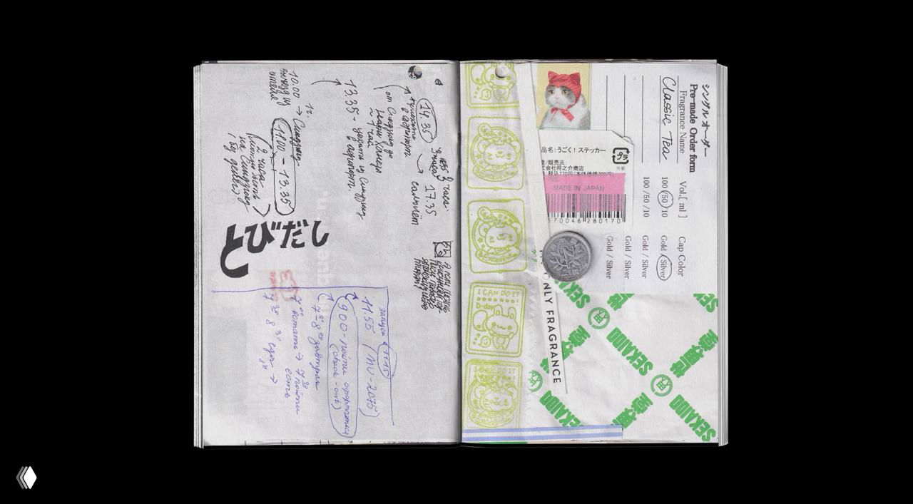 Дневник путешественника — поездка в Токио