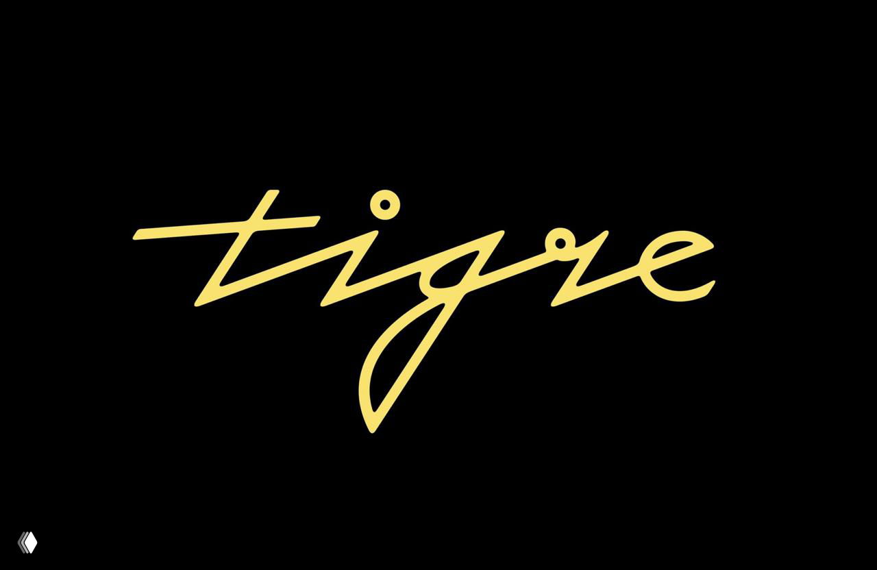 Роскошный брендинг бара Tigre