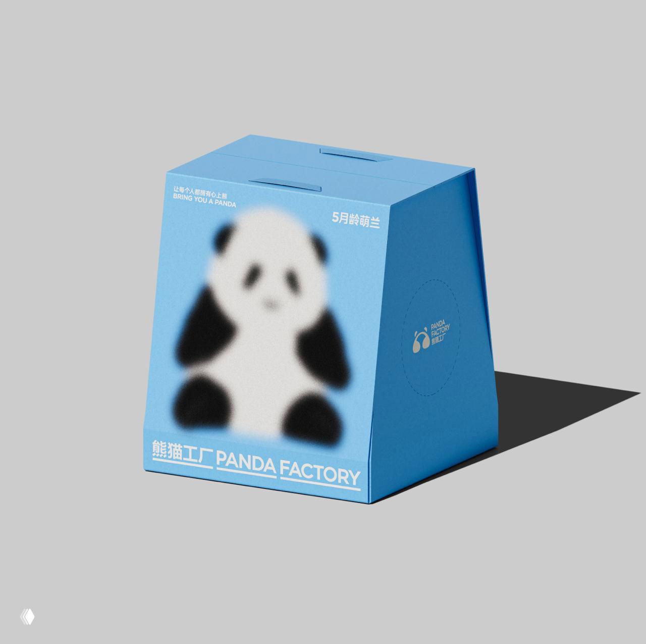 Крупный ракурс квадратной голубой коробки с размытым изображением панды и аккуратным минималистичным фоном, тень от короба заметна.