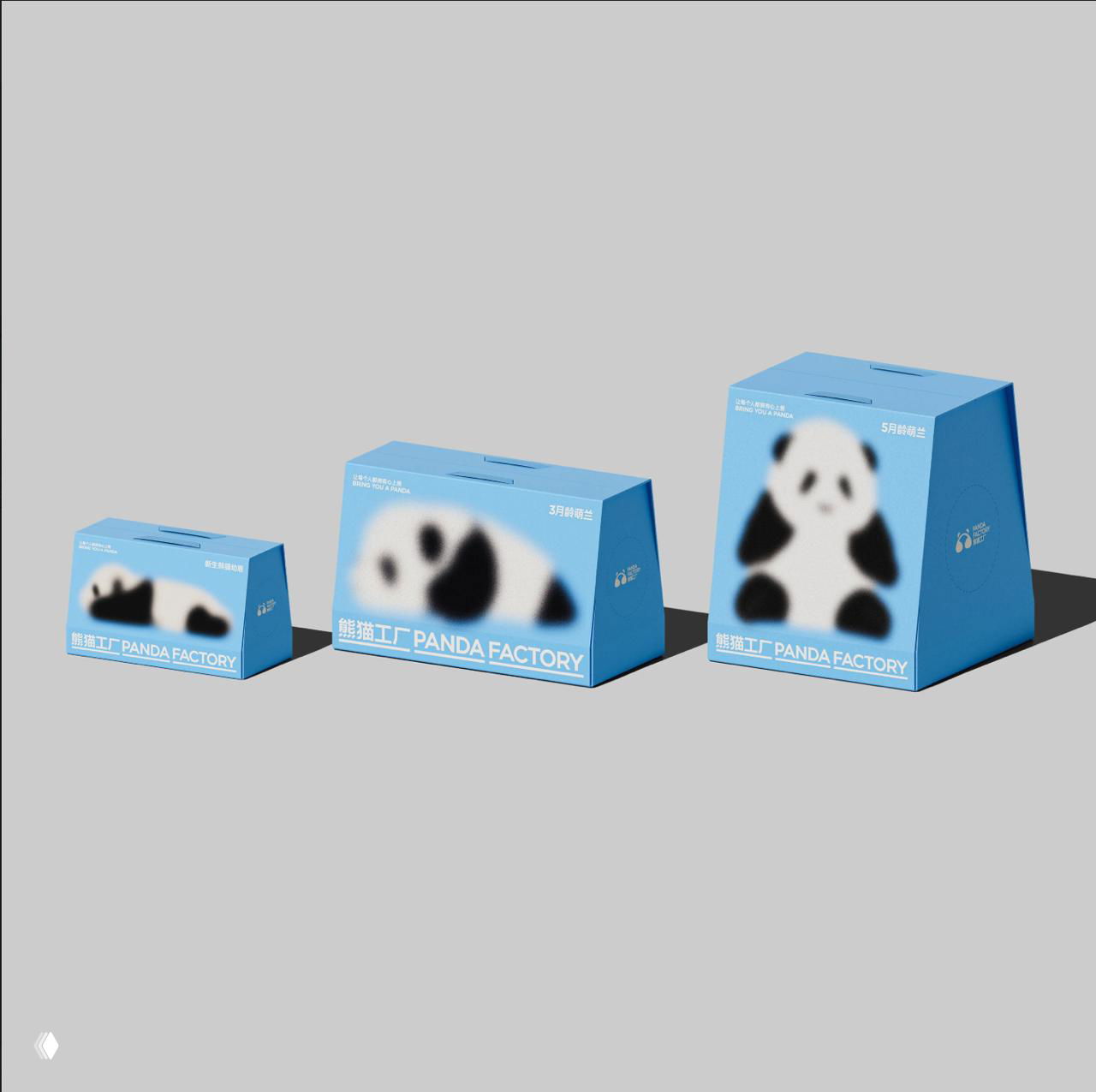 Рука держит за ручку голубую коробку с размытым изображением панды; сочетание человеческого элемента и иллюзии реальности панды.