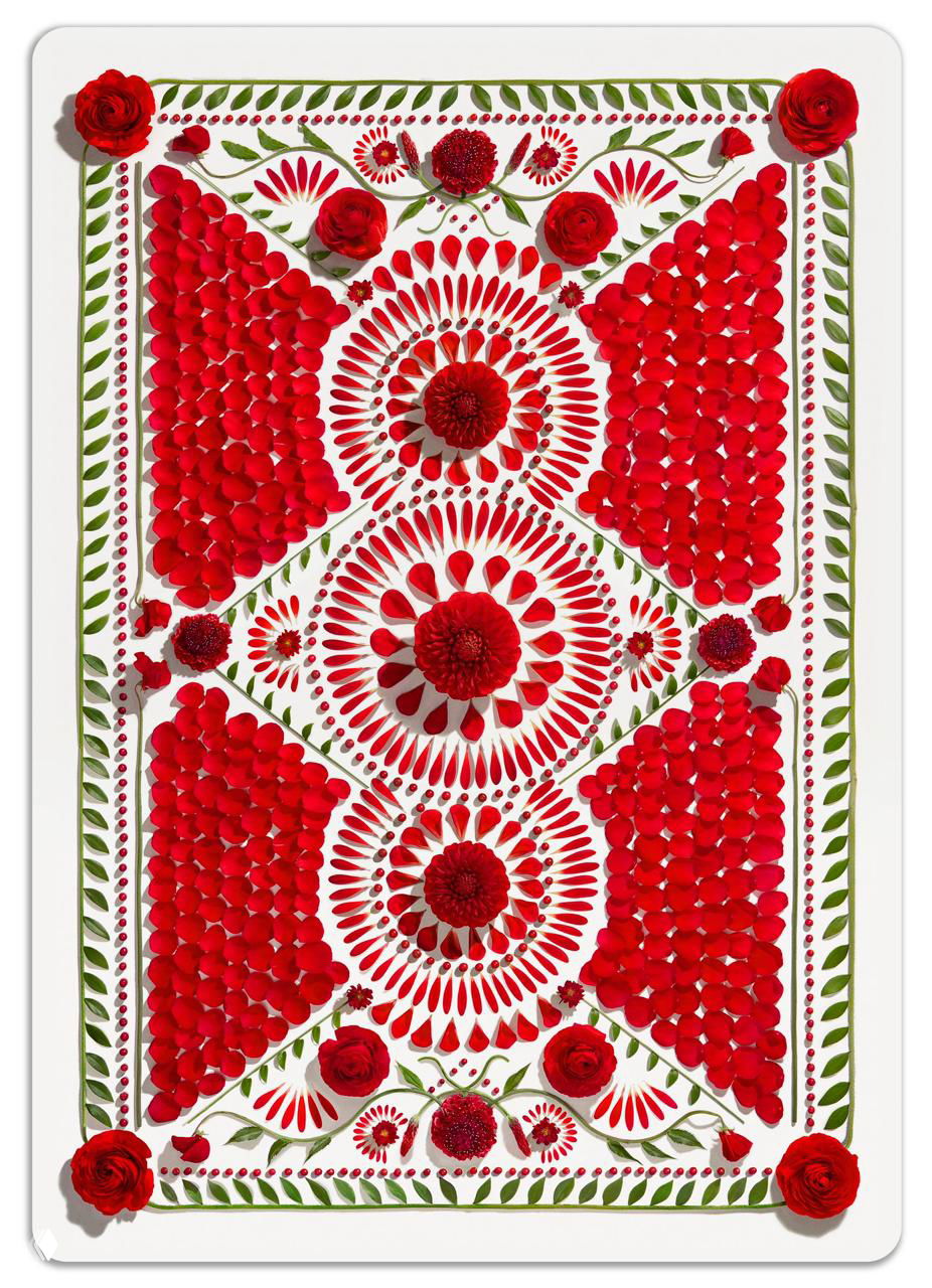 Обратная сторона карты в крупном кадре: симметричная композиция из красных лепестков и цветов, аккуратно выложенных в орнамент.
