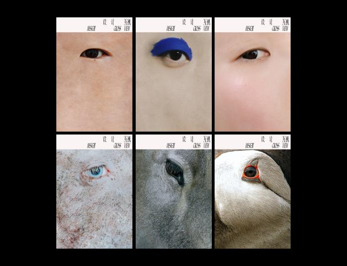 Коллаж из шести квадратных плакатов с close-up изображениями глаз разной текстуры и окраса, оформленных как серия постеров.