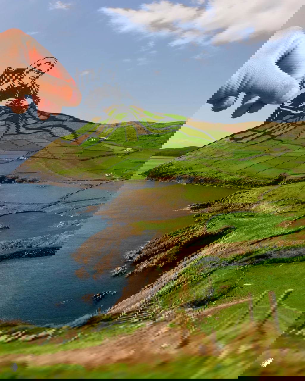 Остроумные фотоколлажи Рича МакКора из Брайтона