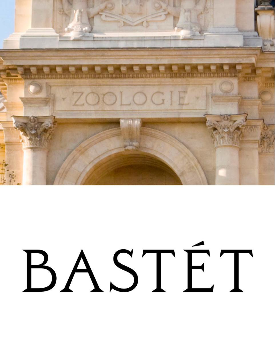 Премиальное оформление зубной пасты Bastét