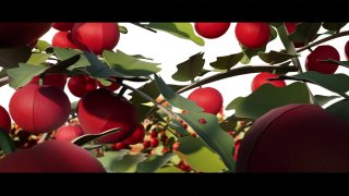 Крупный план стилизованных красных томатов на ветвях в CGI-кадре кукольной анимации для рекламы Rodolfi; декоративные листья и свет