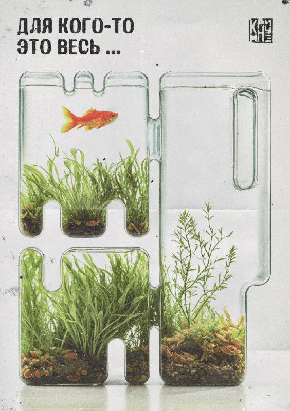 Плакат в светлой гамме с аквариумными формами, растениями и золотой рыбкой; тонкая фактурность бумаги и минималистичная композиция с метафорой.