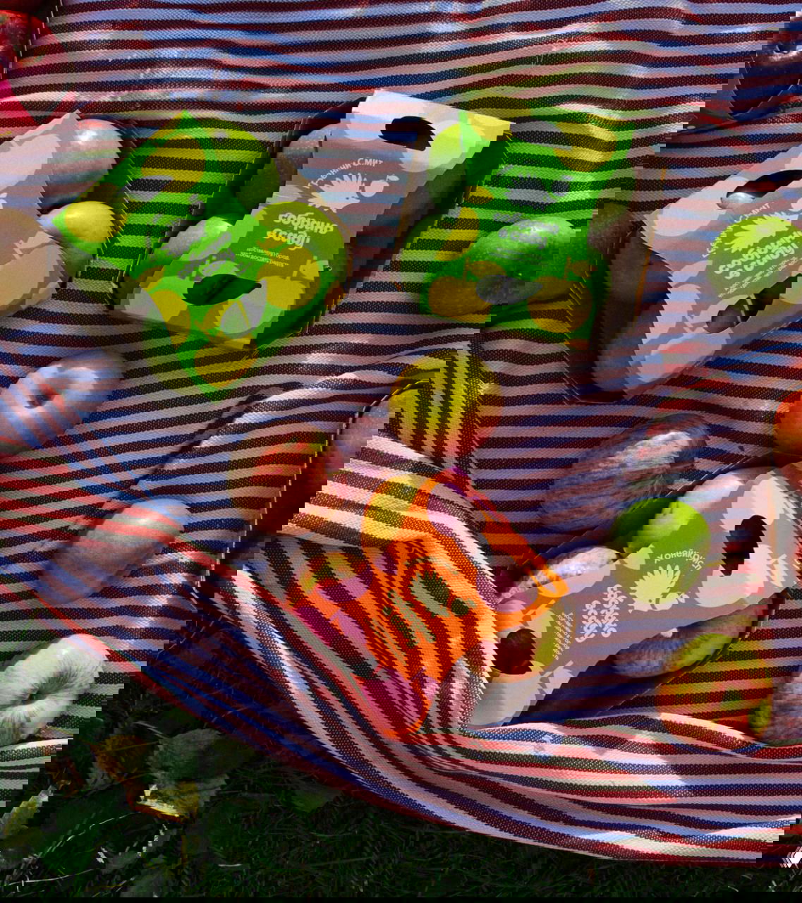 Два зелёных и одна оранжевая коробки «Собрано в саду» на полосатом пледе рядом со свежими яблоками — разные цвета подчёркивают сорта.