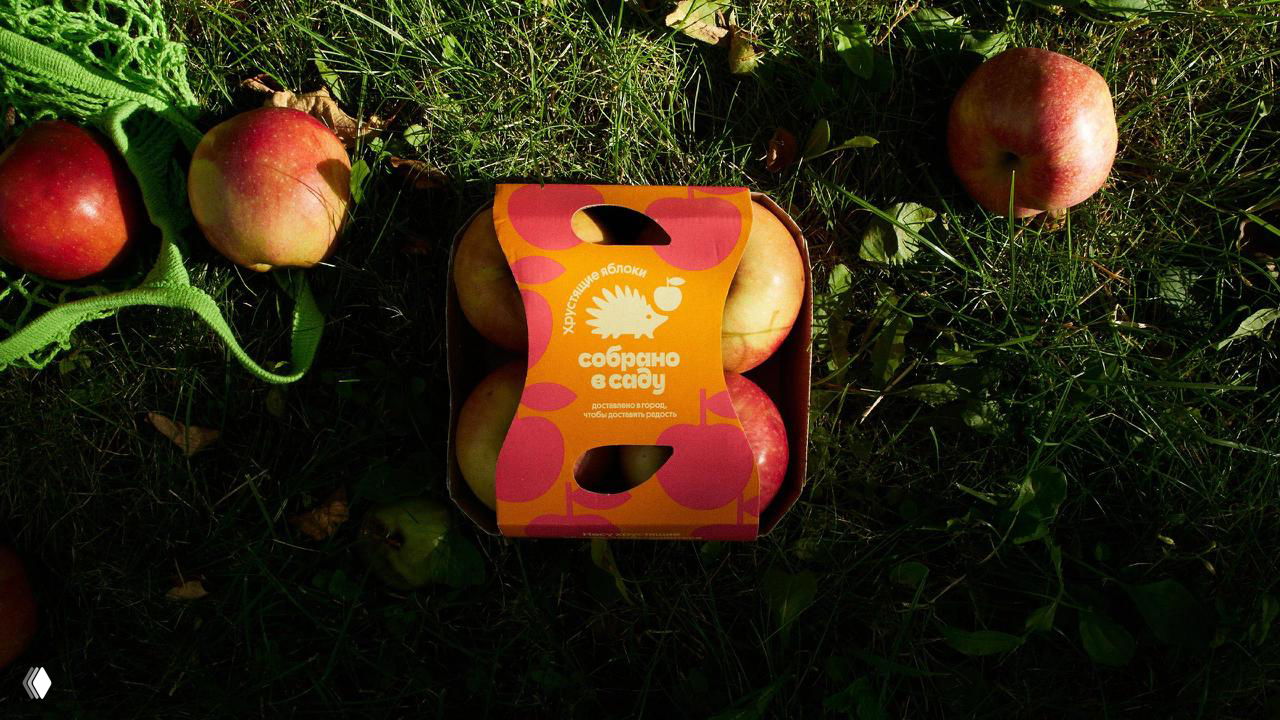 Вид сверху: оранжевая упаковка «Собрано в саду» с четырьмя яблоками лежит на траве в мягком солнечном свете — упаковка вписывается в природную подачу бренда.