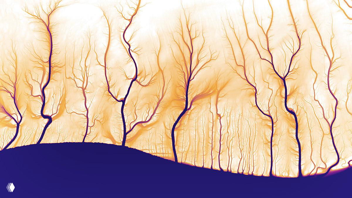 Визуализация речной сети, похожая на силуэты деревьев — тонкие ответвления русел и высотные контрасты, передающие структуру дренажной системы.