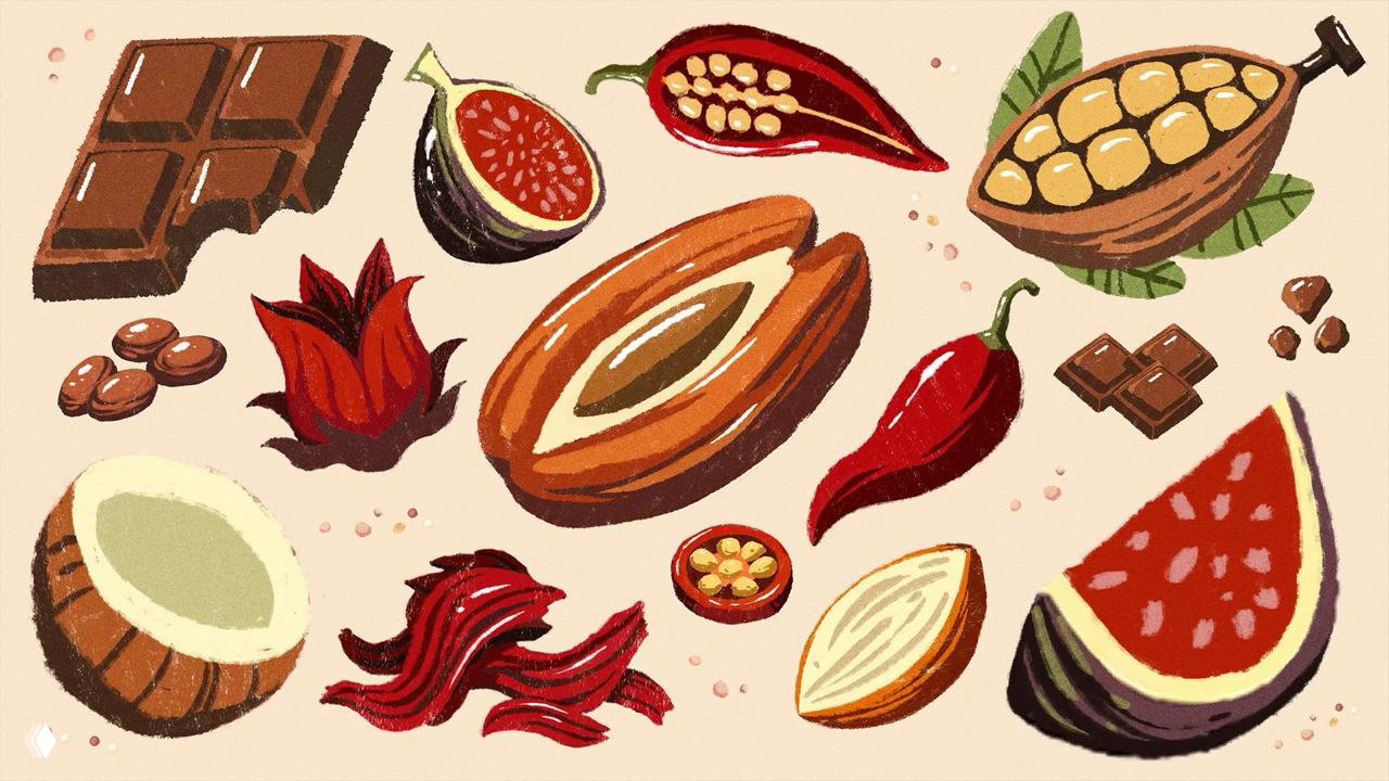Коллаж нарисованных ингредиентов — финик, орехи, шоколад, кокос в тёплой палитре с текстурой кисти, используемый в графике упаковки Deit.