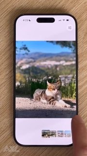 Смартфон с фотогалереей: на экране крупный снимок кота на фоне пейзажа, внизу миниатюры и палец, листающий ленту