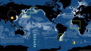 Производство и ловля рыбы в мире, 2022