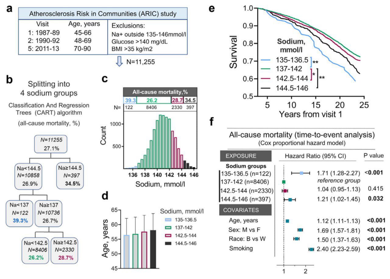 Комбинированная фигура: дизайн исследования ARIC, разбиение на 4 группы натрия, распределения и таблицы с числами выборки (N=11255).