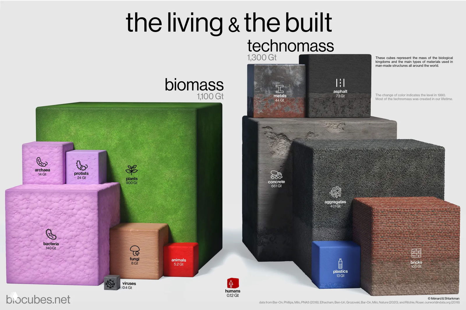 Масса всего живого и рукотворного на Земле