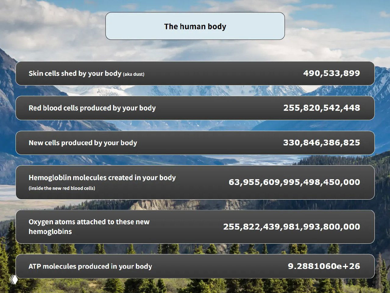 Фрагмент экрана сайта с пикселизированным отображением счётчиков и большими числами, иллюстрирующими процессы внутри человеческого тела и их масштабы.