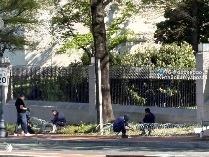 Рабочие укладывают катушки колючей проволоки у тротуара перед стеной китайского посольства в Вашингтоне; на фото видны рабочие, кусты и ограждение.