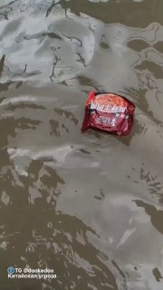 Яркая красная упаковка пищевого продукта плывёт по мутной воде среди последствий наводнения — сцена пополнения запасов.
