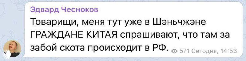 Что пишет Байду о «забое скота» в России