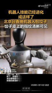 Промышленный робот с двумя манипуляторами формирует и лепит пельмени на конвейерной установке в демонстрационном кадре.