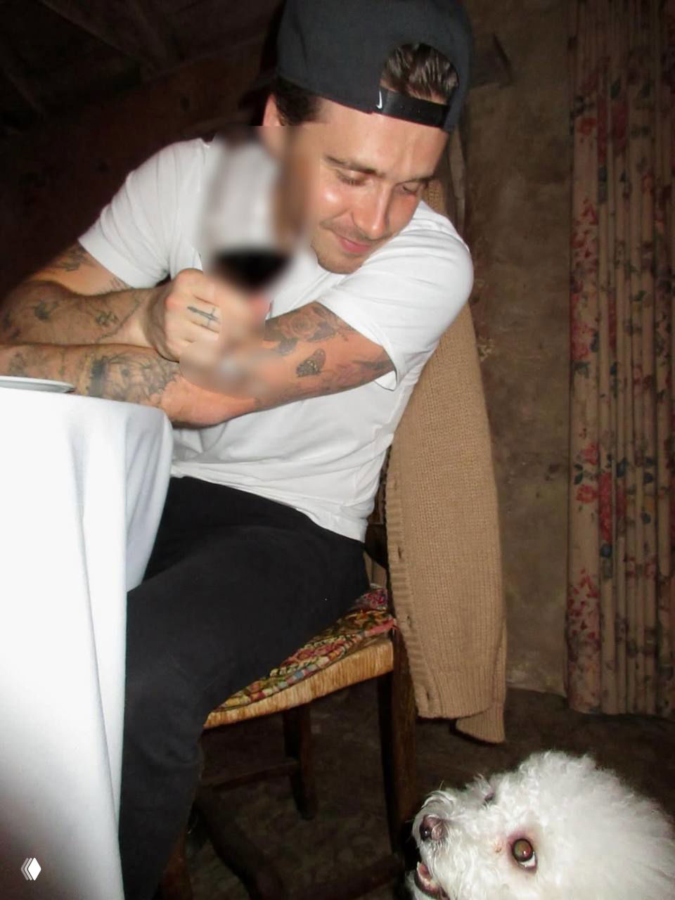 Бруклин Бекхэм в кепке сидит за столом в ресторане, рядом белая собака смотрит вверх; на руке видны татуировки и бокал вина.