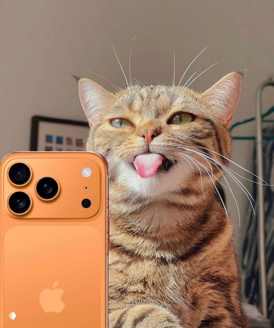 Когда выиграла трендовый Айфон в розыгрыше Woman.ru