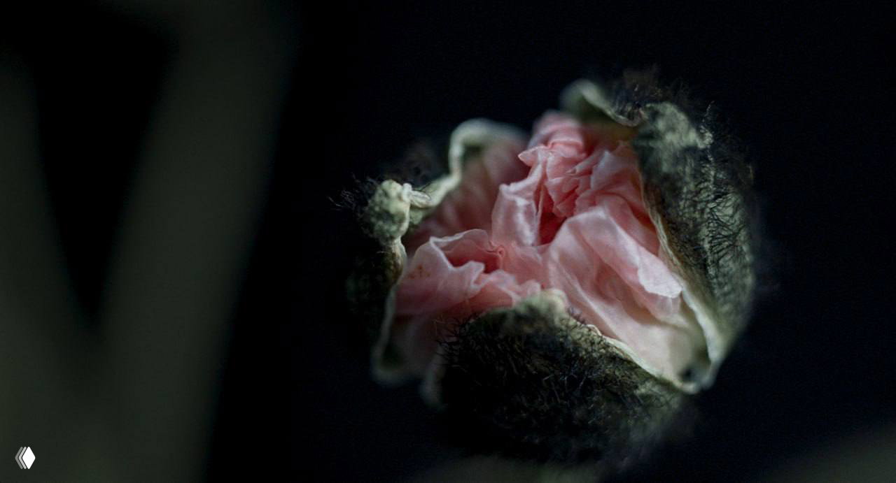 «Молчаливый друг» с Леа Сейду — премьера в Москве