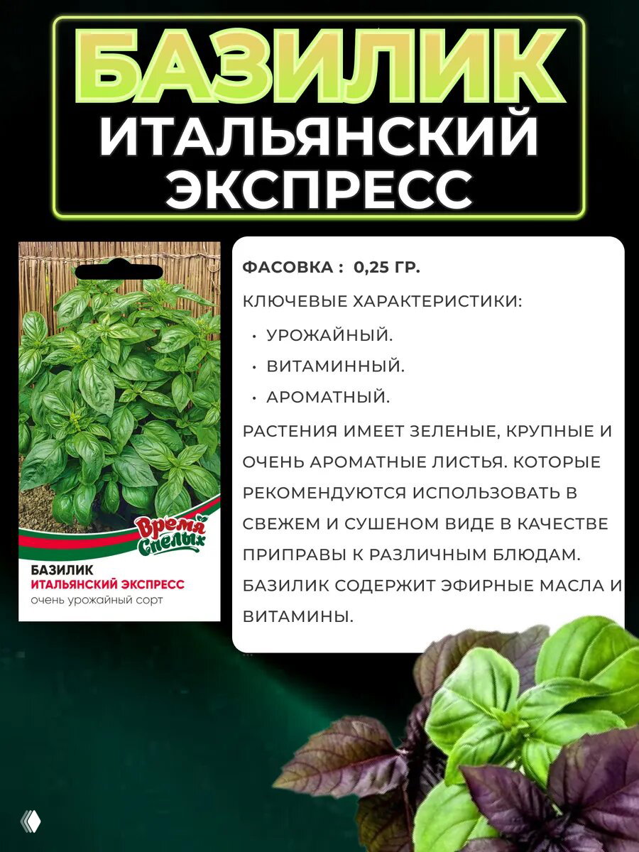 Рекламный макет упаковки семян базилика «Итальянский экспресс» с указанием характеристик сорта, высокоурожайный и скороспелый, графический фон и текст.