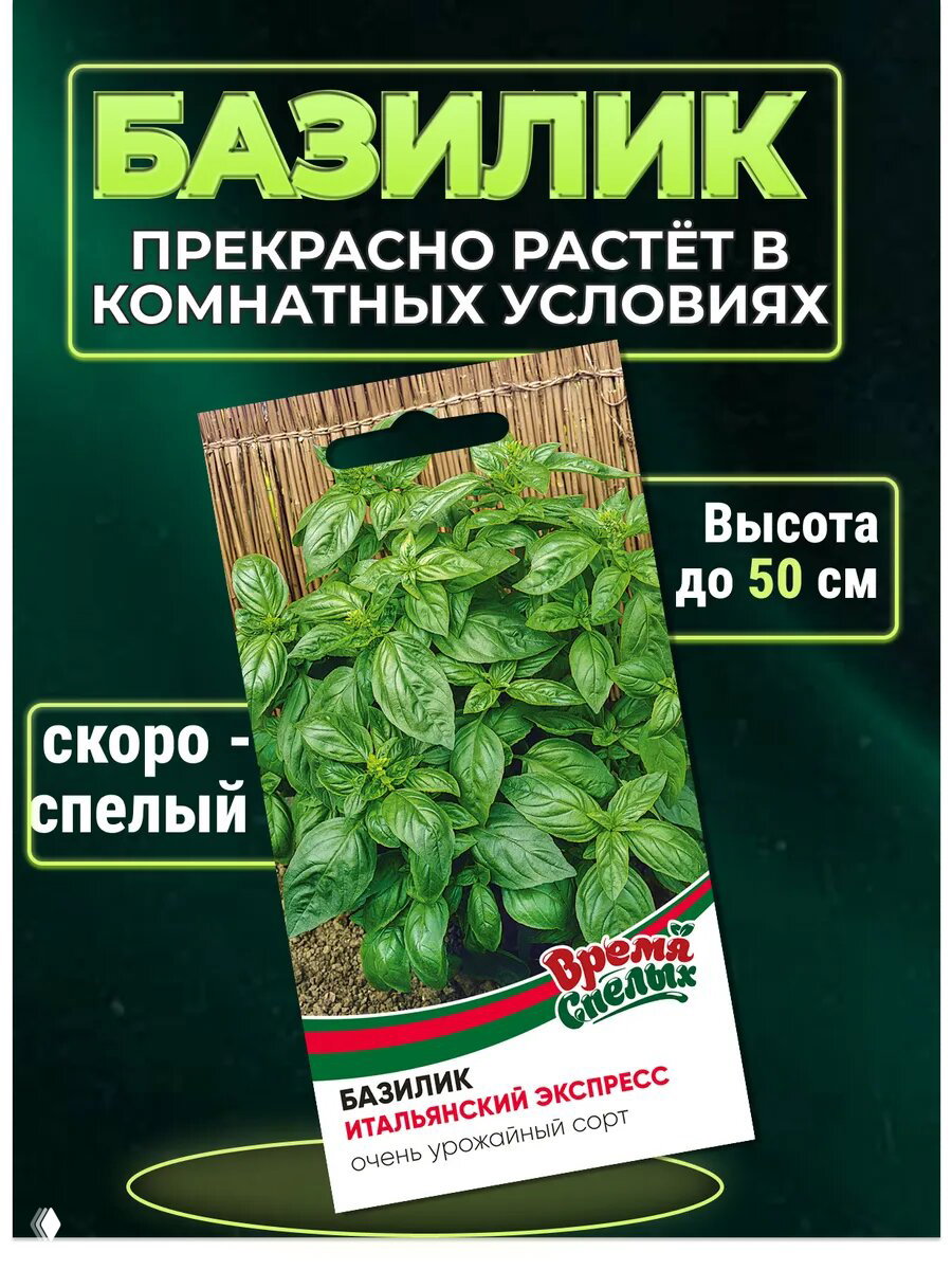 Информационная карточка с описанием сорта базилика «Итальянский экспресс»: урожайный, ароматный, рекомендации по использованию листьев как приправы в свежем и сушёном виде.