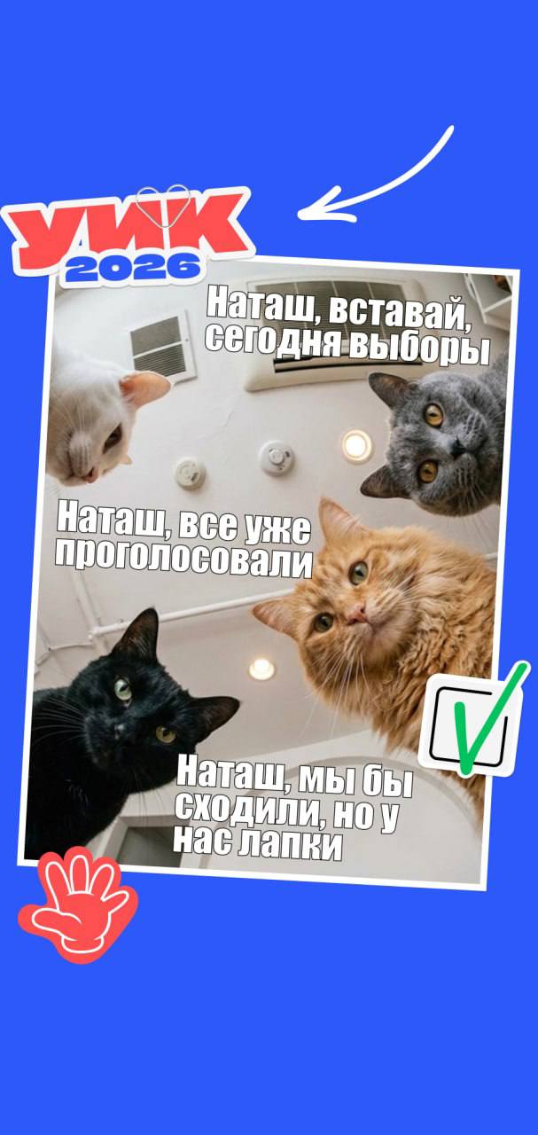 Вы как, на выборы собираетесь?