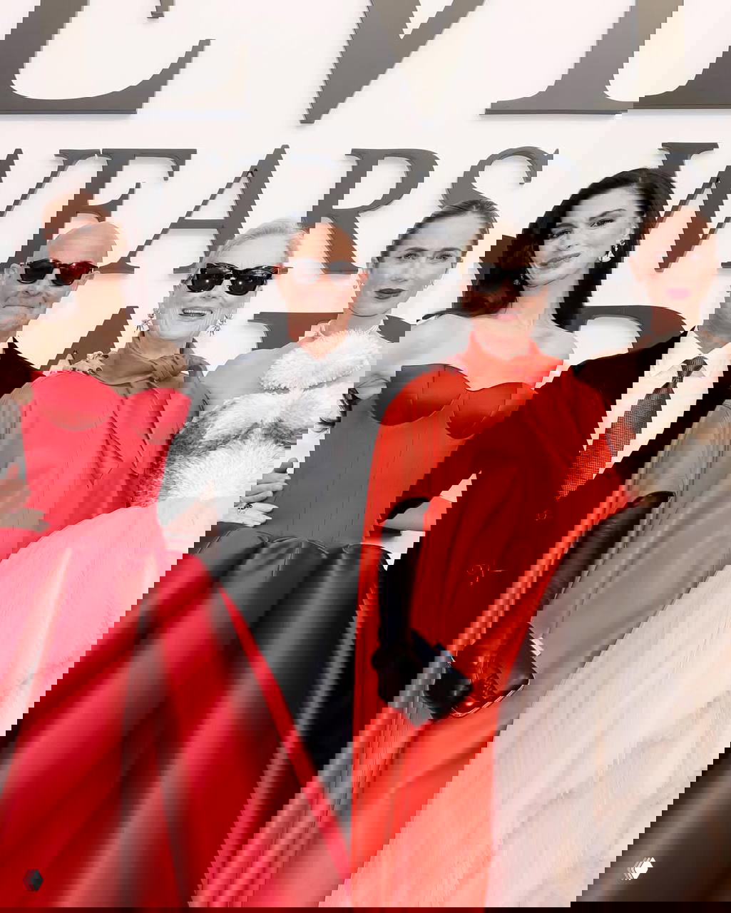 Групповой снимок: Энн Хэтэуэй, Стэнли Туччи, Мерил Стрип и Эмили Блант вместе позируют на красной дорожке премьеры фильма на фоне баннера.